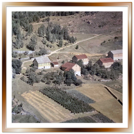 Flyfoto av Tippa 1954