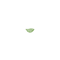 Applikasjonsikon